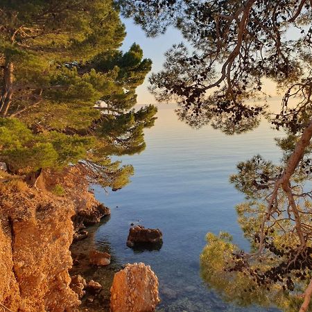 Apartment Miskovic Makarska Eksteriør bilde
