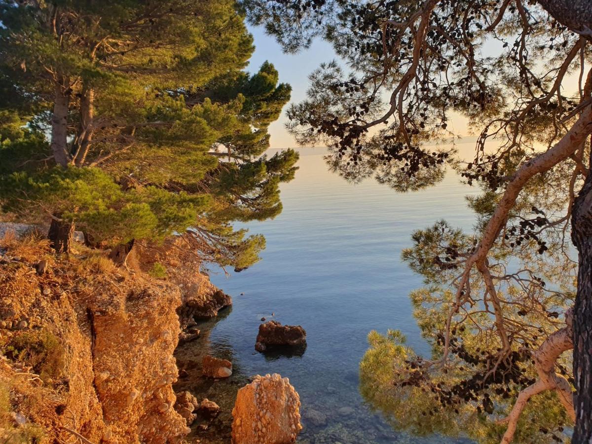 Apartment Miskovic Makarska Eksteriør bilde