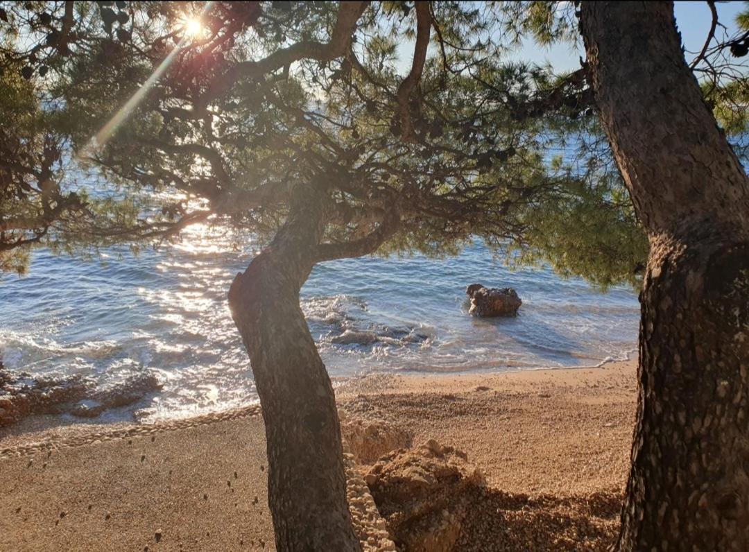 Apartment Miskovic Makarska Eksteriør bilde